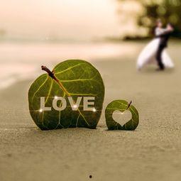 故意在你心上撒野,揭秘故意伤害的情感漩涡