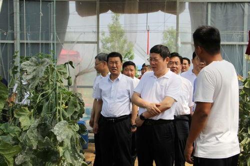 开局把妻子送进火葬场,送妻子最后一程的火葬场之旅