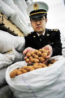 干果糕饼诈骗案,骗术揭秘与受害者心声