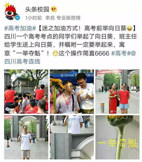 高考放榜之一举夺魁