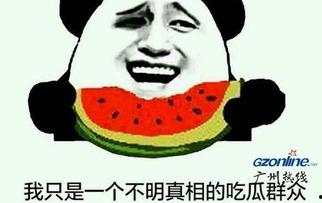 吃瓜群众什么意思网络用词,吃瓜群众的内涵与演变